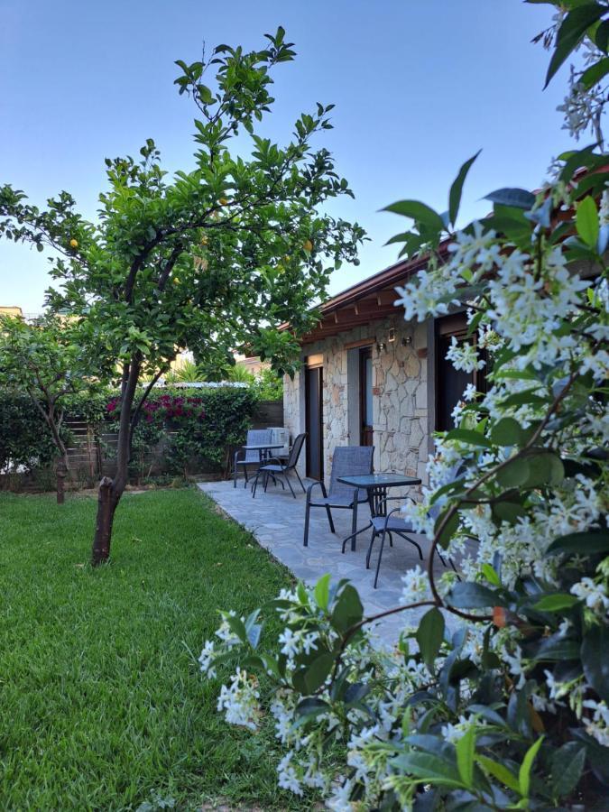 Citrus Garden Leilighet Néa Skióni Eksteriør bilde